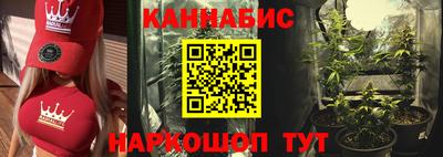 гидра Можга