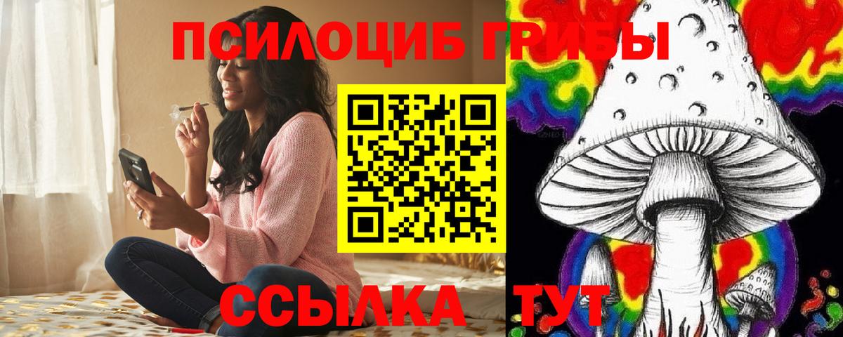 Псилоцибиновые грибы Psilocybe  Вход с VPN  Электросталь  Псилоцибиновые грибы ЛСД 
